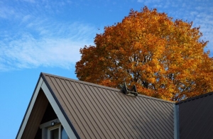 Metal Roofing: The Ultimate Solution for Durability and Style