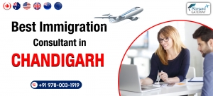 Chandigarh Immigration Consultants Offering Expert Guidance