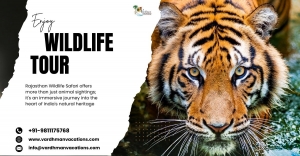 Rajasthan Wildlife: A Safari Adventure in the Land of Kings
