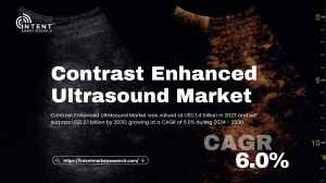 Contrast Enhanced Ultrasound Market Leads in Non-Invasive Medical Imaging for Tumor Detection