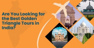 Are You Looking for the Best Golden Triangle Tours in India?