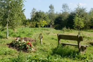 Caring for Loved Ones: How to Support Families Choosing Natural Burials