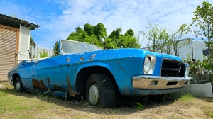 Your Guide to Sell Old Car for Cash Fort Myers, FL – Fast and Easy 