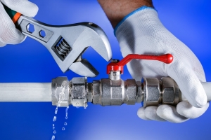 Plumbing Services: TruFlow Plumbing’s Approach