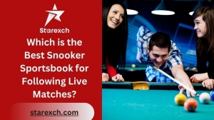 Which is the Best Snooker Sportsbook for Following Live Matches?