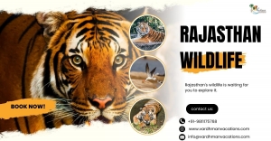 The Best National Parks in Rajasthan: A Wildlife Lover's Guide