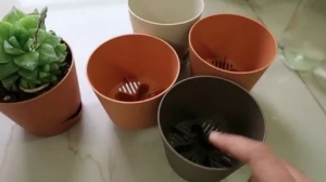 Self Watering Planter, Self Watering Pots in Pakistan