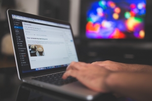 Custom Plugins and Themes: The Power of WordPress Development Services