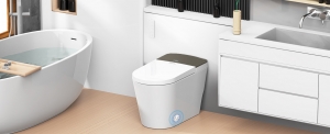 The Rise of Smart Toilets: A New Standard for Modern Living