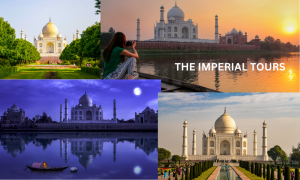 Taj Mahal Sunrise Tour by Car from Delhi: A Magical Journey to Agra