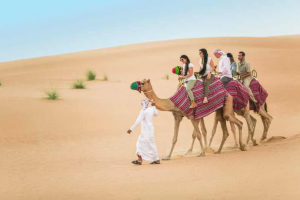 The Main Activities Of The Morning Desert Safari Tour In Dubai