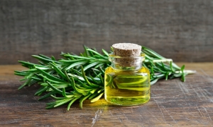 Rosemary oil for hair growth 