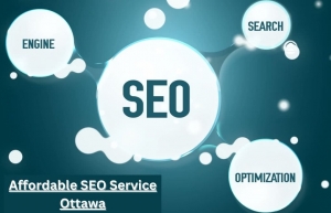 Affordable SEO Service Ottawa – Grow Your Business with Pekan Design