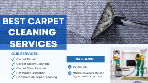 How Long Does It Take for Carpets to Dry After Cleaning? Expert Insights