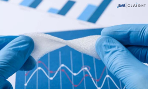 Global Biocompatible Coating Market Share, Size, Growth, Trends & Outlook | 2024 - 2032