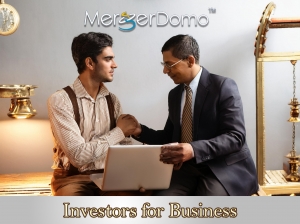 Investors for Business