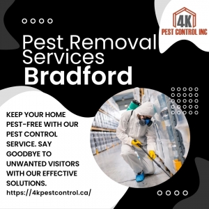 Qualities of the Best Pest Control Services in Bradford