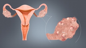 The Qualifications and Role of an IVF Doctor in Modern Medicine