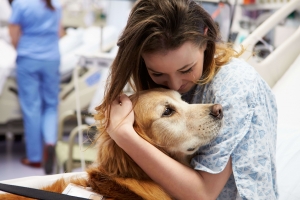 The Importance of an Emotional Support Animal Letter in California