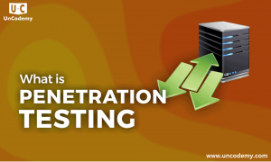 What is Penetration Testing and How Does It Work?