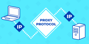 What is the proxy IP? How does IP proxy work?