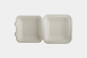 The Rise of Biodegradable Food Containers Solution to Plastic Pollution