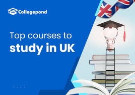Engineering Top Courses in the UK: Bridging Innovation and Practicality