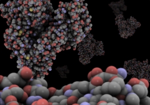 Immunoturbidimetric Kits Market Industry, Forecast Report 2024 to 2032 | Reports and Insights