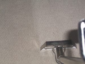 Carpet Cleaning Westchester NY: How To Find The Right Carpet Cleaner