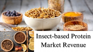 Insect-based Protein Market Revenue, Size, Share, Growth and Trends by 2029