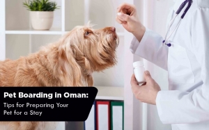 Pet Boarding in Oman: Tips for Preparing Your Pet for a Stay