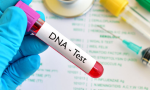 Understanding Drug Testing