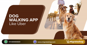 Why the Uber for Dog Walking App is a Game-Changer for Entrepreneurs