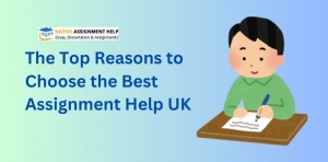 The Top Reasons to Choose the Best Assignment Help UK