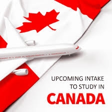 Essential Documents for the Upcoming Intake in Canada: A Student’s Checklist