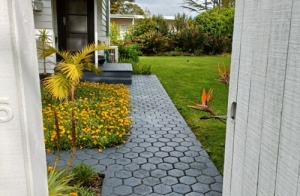 Stamped Concrete Patterns and Textures: A Complete Guide