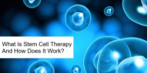 What Is Stem Cell Therapy And How Does It Work?