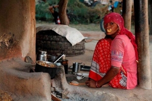 Discover the Beauty of Bishnoi Village Safari Jodhpur: A Blend of Culture, Adventure, and Nature