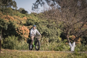 Which Is the Best Electric Bike to Avoid Back Pain?
