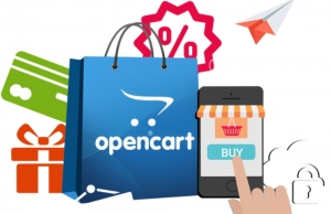 Best Practices For A Successful OpenCart Bulk Product Upload