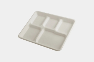 The Convenience of 5 Compartment Disposable Plates for Large Gatherings