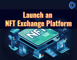 How to Launch a Successful NFT Exchange: A Step-by-Step Guide for Startups