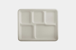 5 Compartment Disposable Plates: A Perfect Solution for Portion Control