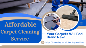 Carpet Cleaning Tips for a Healthier Home Environment