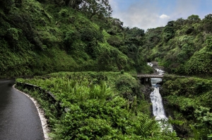 10 Unforgettable Stops on Your Road to Hana Tour