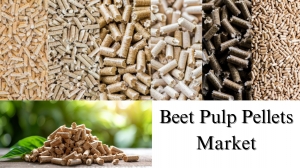 Beet Pulp Pellets Market Size, Share, Growth and Trends by 2028