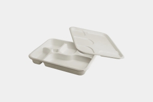 Eco-Friendly Options: Are 5 Compartment Disposable Plates Sustainable?