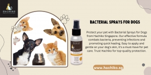 Healthy Pets: Wound and Bacterial Sprays for Malassezia Dermatitis