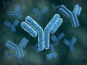 Understanding Immunoglobulin: The Antibodies that Protect our Body