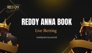 Your Path to Success: Winning Strategies on Reddy Anna Book